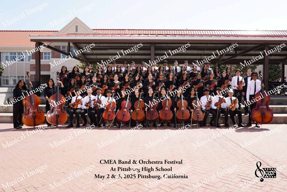 Musical Images